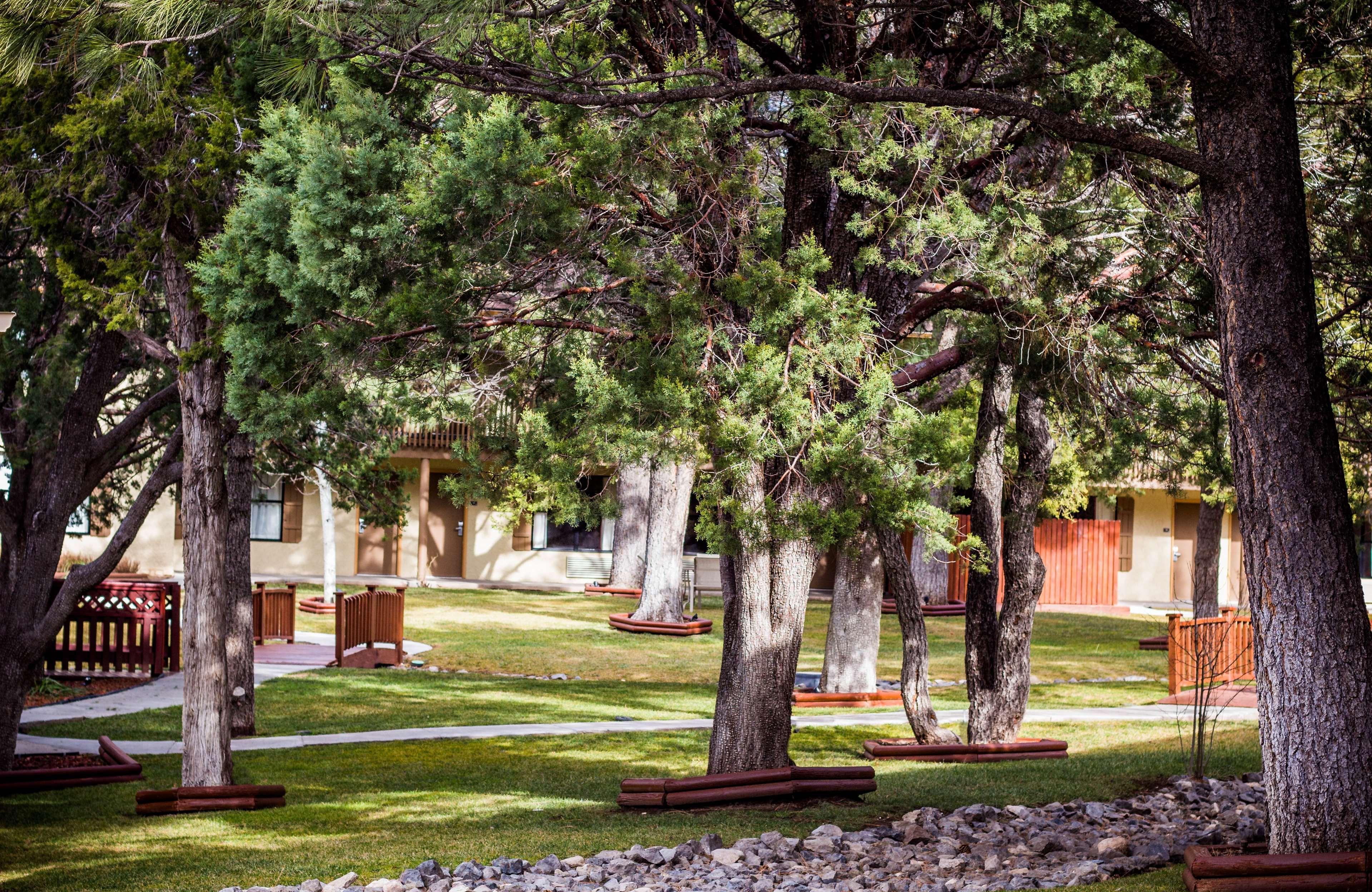 Best Western Pine Springs Inn Ruidoso Downs Exterior foto